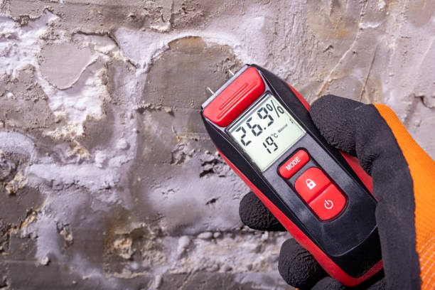 Best Mold Damage Repair  in Alto, GA